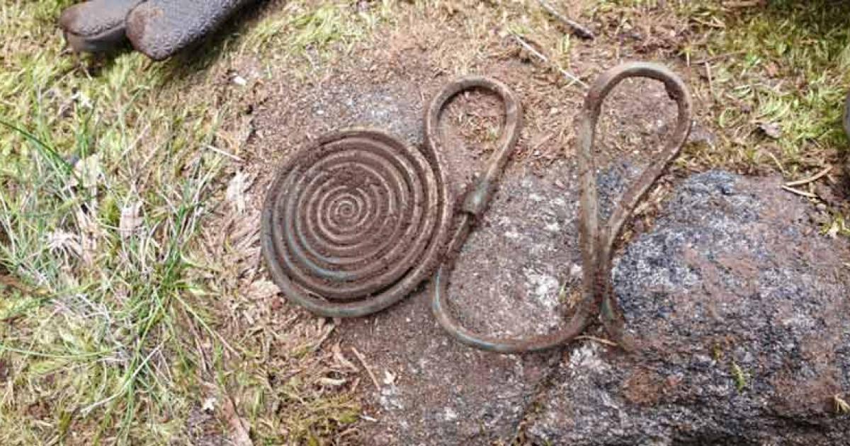 Bronze Age Treasure Accidentally Found in Swedish Forest