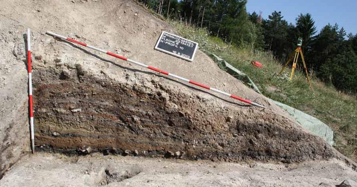 Bronze Age food, plant and cereal remains, from a mining site in Austria dating to the 11th - 9th century BC have been studied and the scientists found no evidence of food processing. 