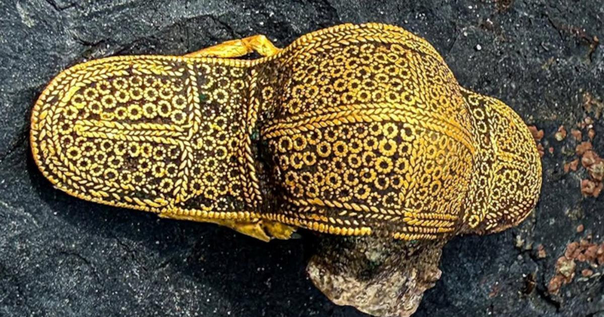 The elaborate1,500-year-old gold brooch discovered in Denmark