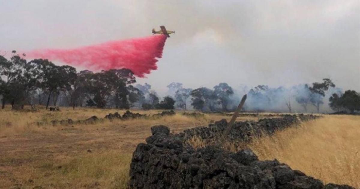 Fire services fought to save the Budj Bim site.