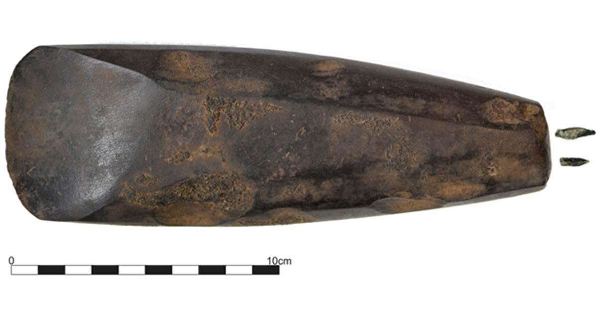 Oldest Human Burial and Polished Axe Unearthed in Ireland