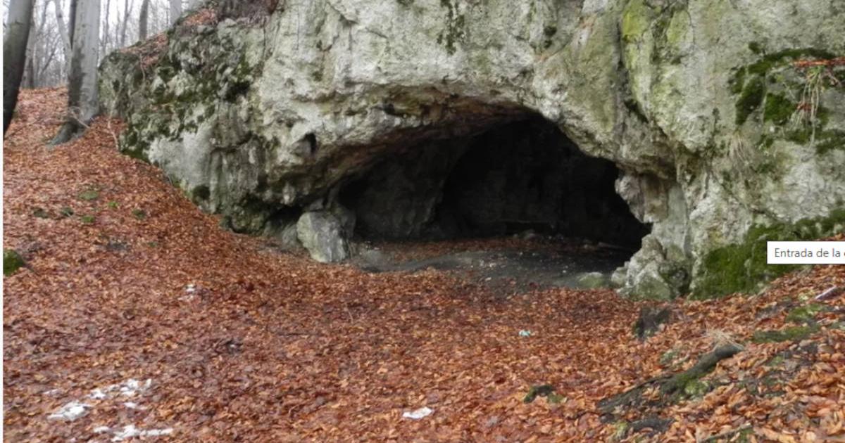 Entrance to Maszycka Cave.