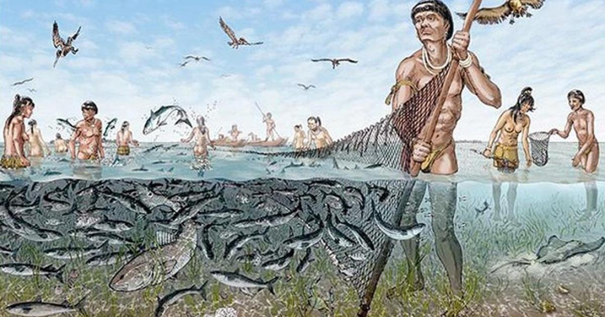The Calusa People: A Lost Tribe of Florida that Early Explorers Wrote Home About