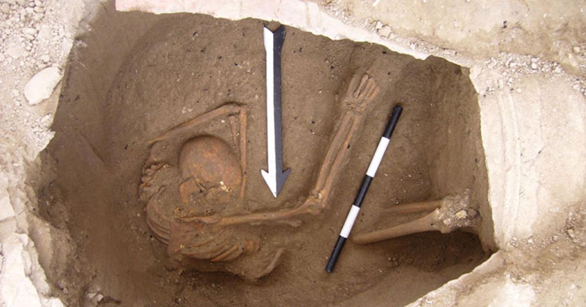 Skeleton found in Sidon, Lebanon, from which the Canaanite DNA was extracted 