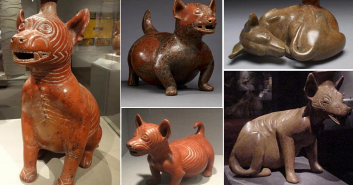 The Canine Figurines of Mesoamerican Colima