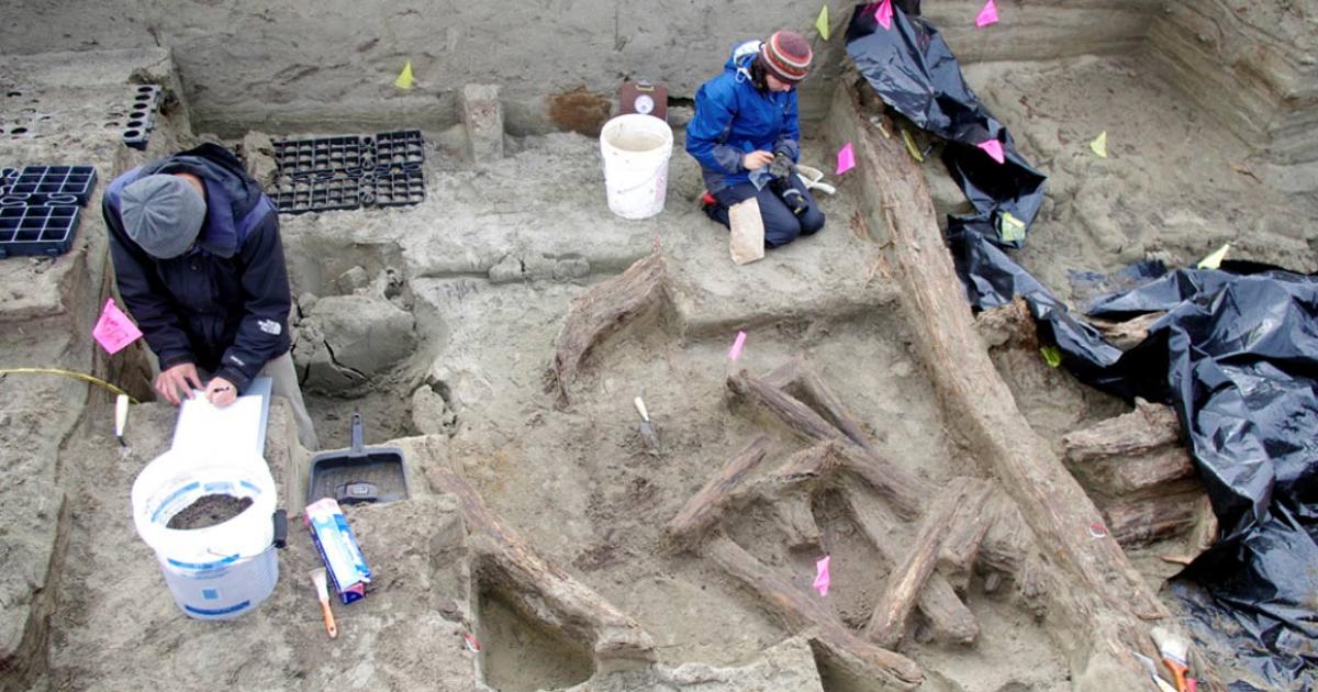 Archaeologists working in the 1,000-year-old house at the Rising Whale site at Cape Espenberg, Alaska. 