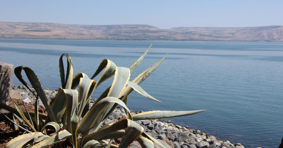 The Sea of Galilee seen from Capernaum.