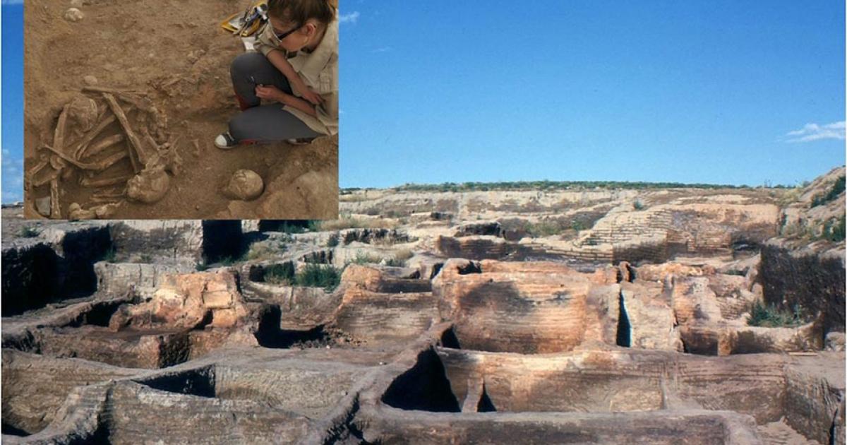 Main: Çatalhöyük after the first excavations by James Mellaart. Inset: Dr. Harabasz excavating some of bones.           Source: Omar Hoftun / CC BY-SA 3.0 &  Çatalhöyük Research Project / Jason Quinlan
