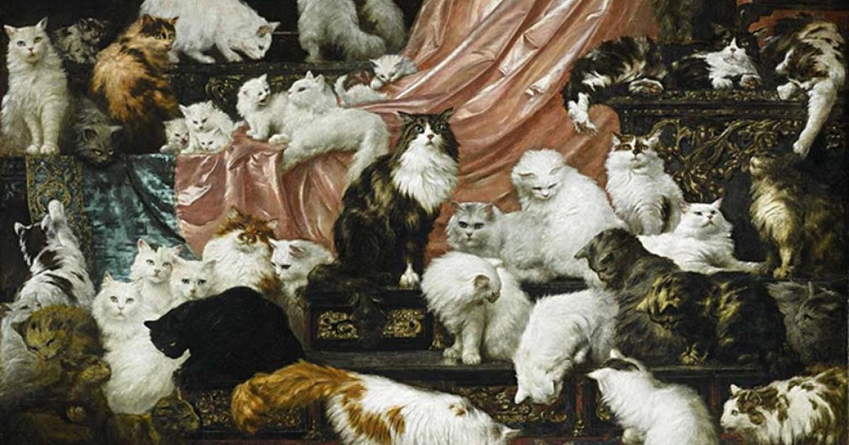 DNA Analysis Suggests Cats Chose to Be Domesticated 