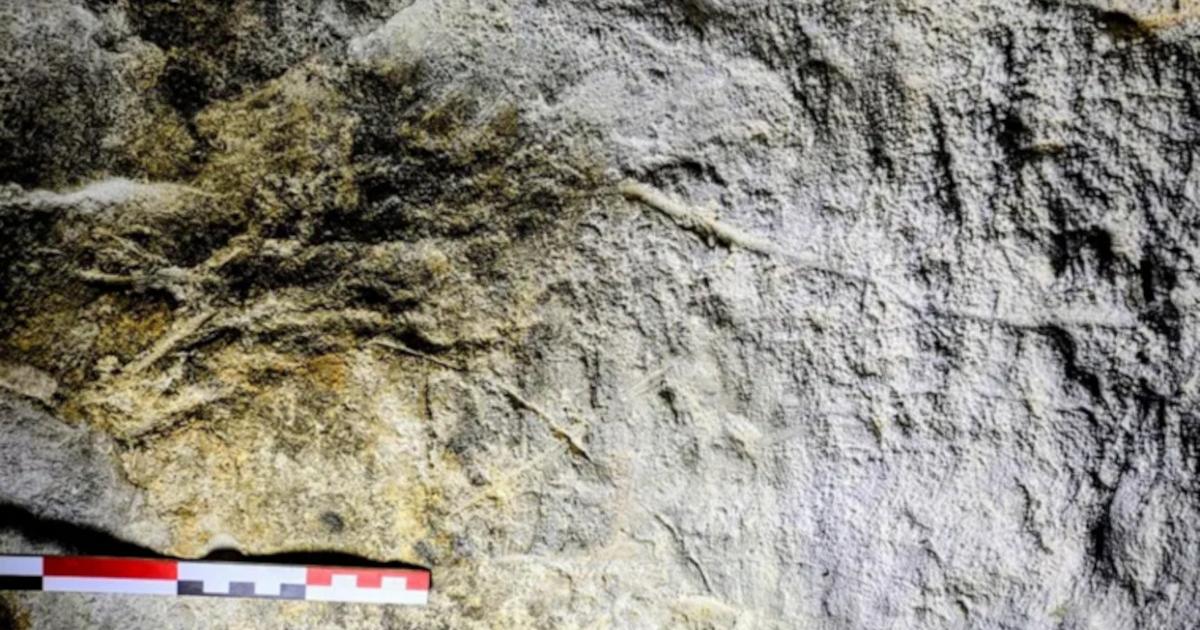 Evidence of cave art found in caves in Ireland. 