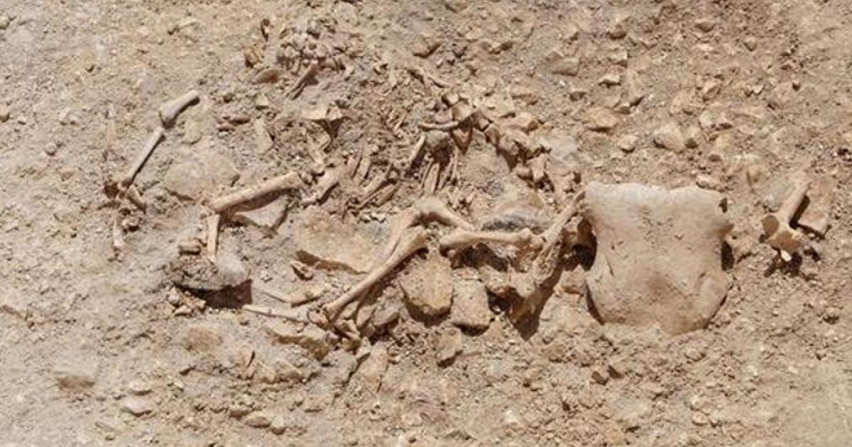 Celtic burial with hybrid-animal bone arrangements