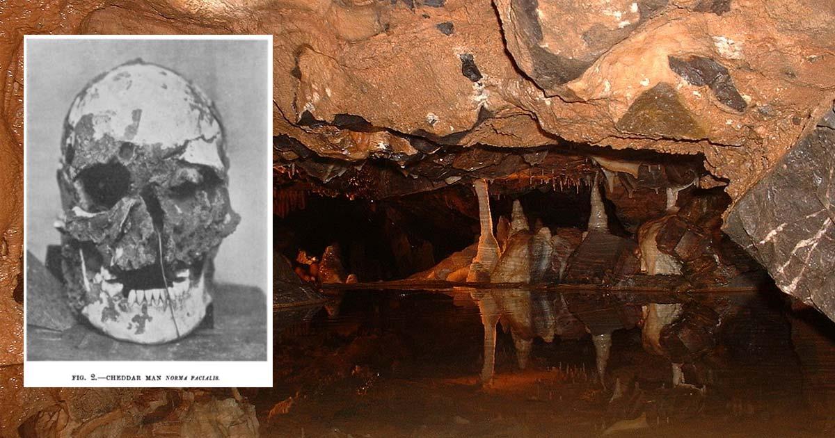9,000-Year-Old Cheddar Man Has Living Descendant Still Living in The Same Area