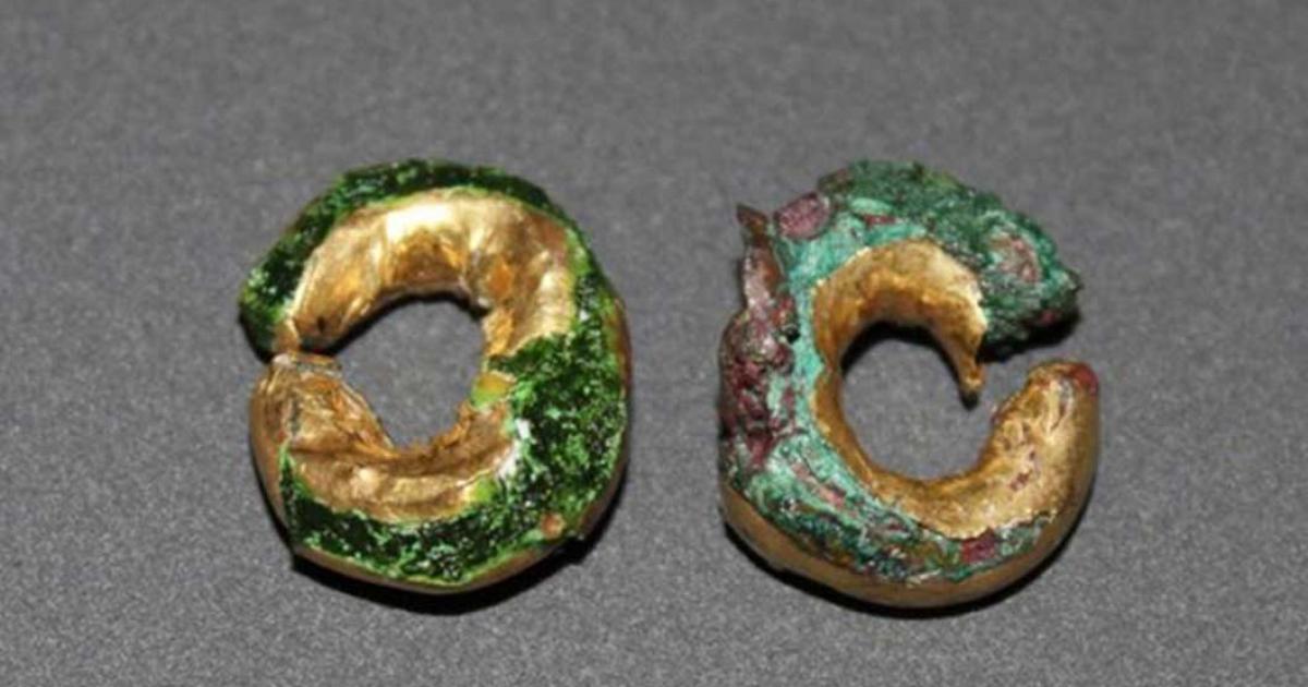The gold hair rings found at Sculptor's Cave near Covesea, Moray. 