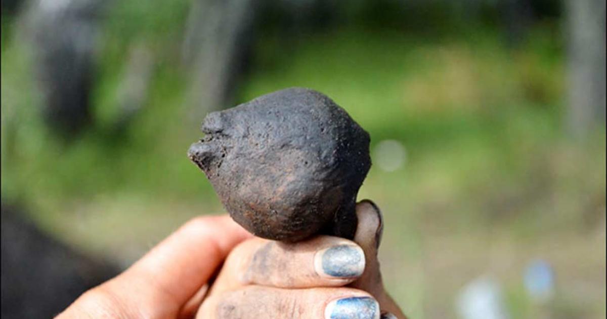 4,000-year-old Children's Rattle Crafted as Bear Cub's Head: And it Still Rattles!