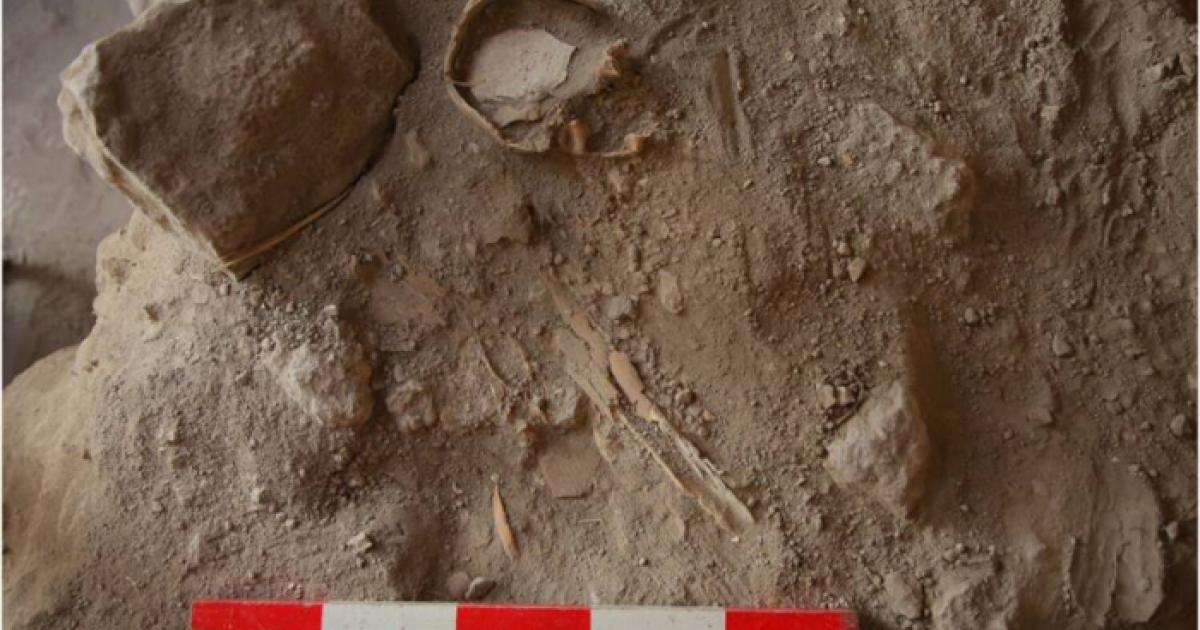 The upper half of one of the dozens of children’s skeletons found in the cistern in Azekah