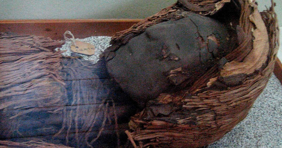 Chinchorro mummy. Source: Pablo Trincado / CC by SA 2.0.