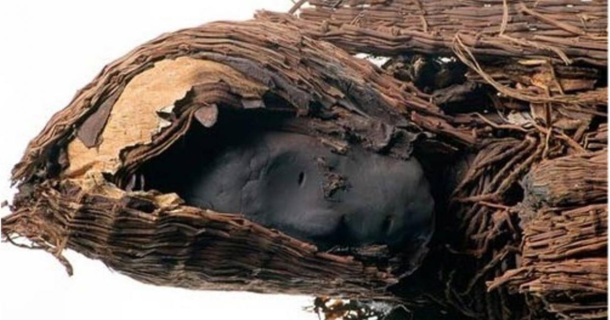 The head of an ancient Chinchorro mummy from northern Peru