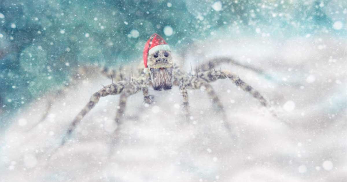 The Legend of the Christmas Spider is a folktale that dates back hundreds of years from German and Ukrainian origin. Source: VideoCorpus / Adobe Stock