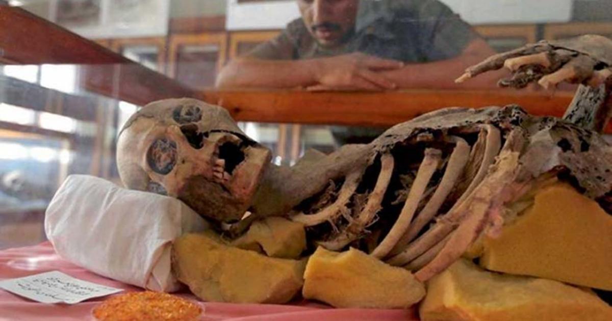 Student looks at millennia old mummy at Sanna University Mudeum, Yemen. 