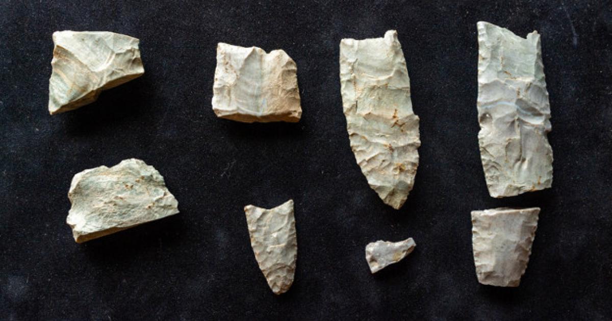 20 Clovis tools and hundreds of pieces of manufacturing and refurbishment debris at the Belson Clovis Site in St. Joseph County. 