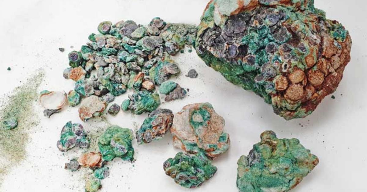 The cache of coins uncovered by Yotam Dahan. Source: Ofir Hayat / Ynet News.