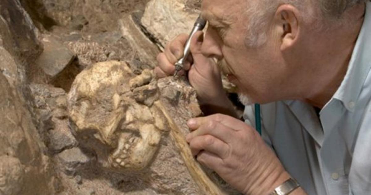 Professor Ron Clarke busy excavating the Little Foot Skull from the Sterkfontein Caves.