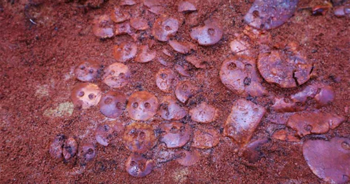 Amber ornaments found in the Copper Age burial.     Source: Petrozavodsk State University