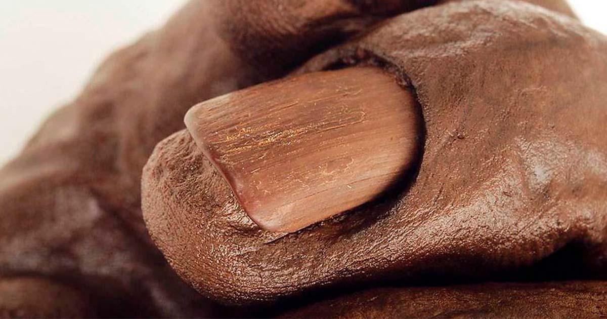 Close up of Old Croghan Man’s nails (National Museum of Ireland)