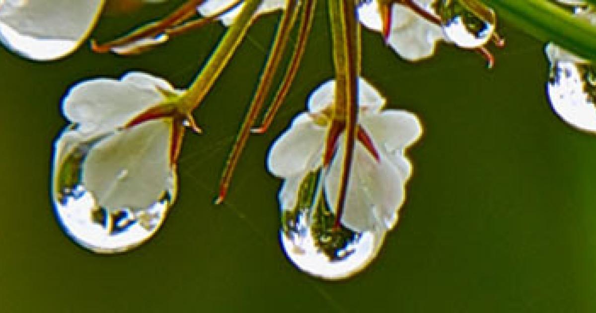 Archaeology & Cyclical Perception