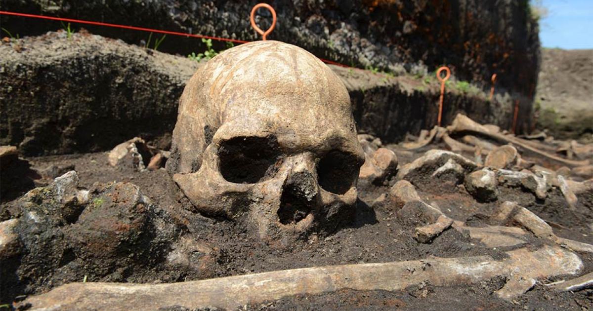 Bronze Age skull in situ in the Tollense valley Source: ©: Stefan Sauer / Tollense Valley Project