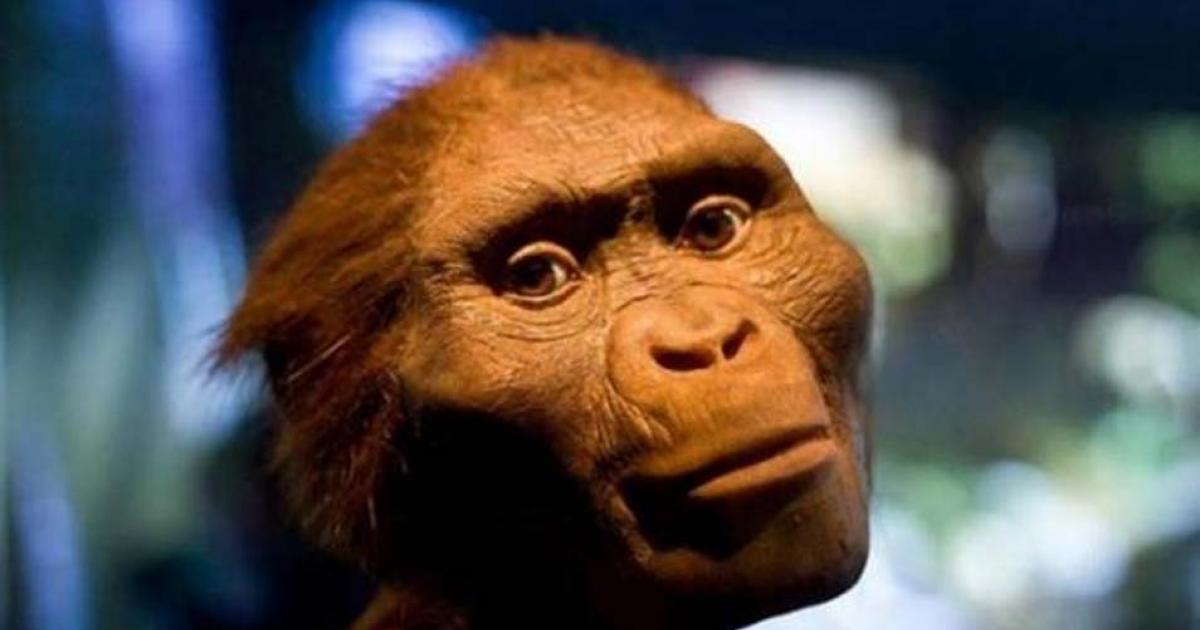 The Death of Lucy: Has a 3.2 Million-Year-Old Mystery Finally Been Solved? 