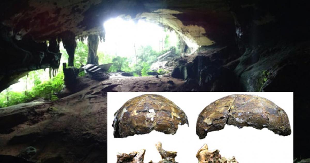Ancient Deep Skull Still Holds Big Surprises 60 Years After it was Unearthed