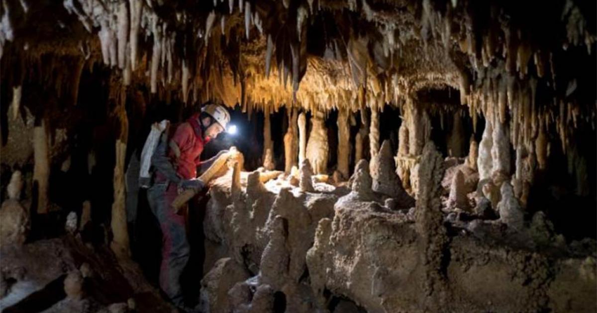 Researchers have sampled an enormous stalagmite in the Pozzo Cucù cave in Italy in order to conduct paleoclimatic reconstruction of the last ice age. Their conclusions have helped answer questions related to the demise of Neanderthals. Source: O. Lacarbonara / University of Bologna