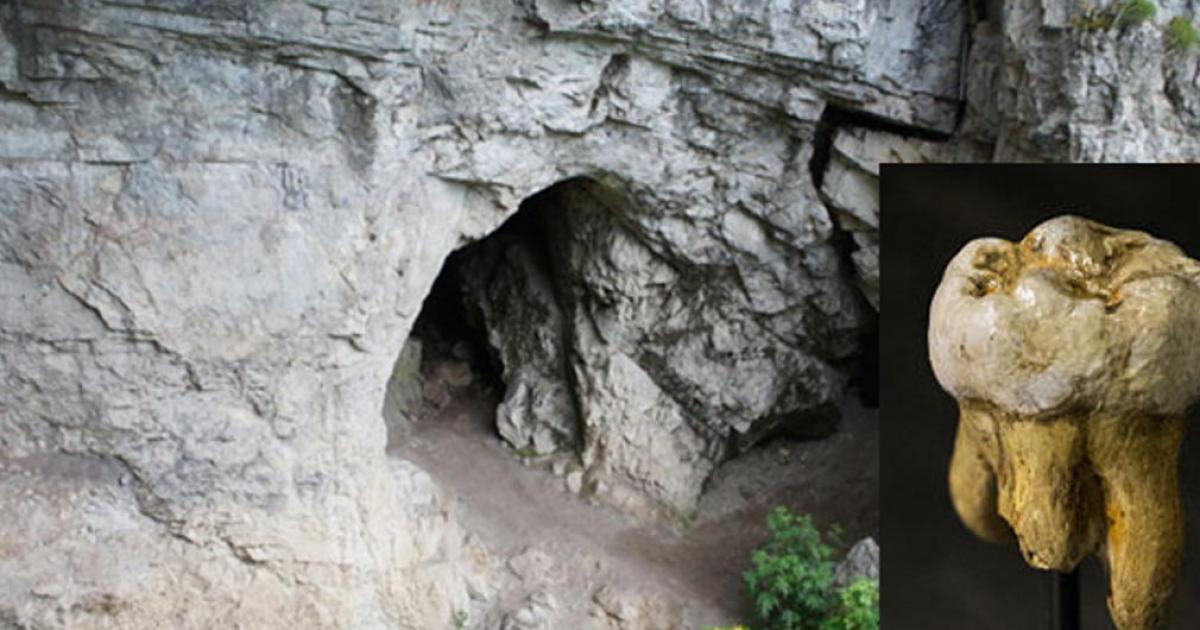 Denisova Cave, Russia. Inset: Denisovan molar discovered in Denisova Cave, Replica in Museum of Natural Sciences in Brussels, Belgium.