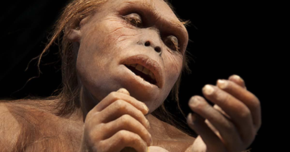 Early hominin works with tools. (procy_ab/AdobeStock)