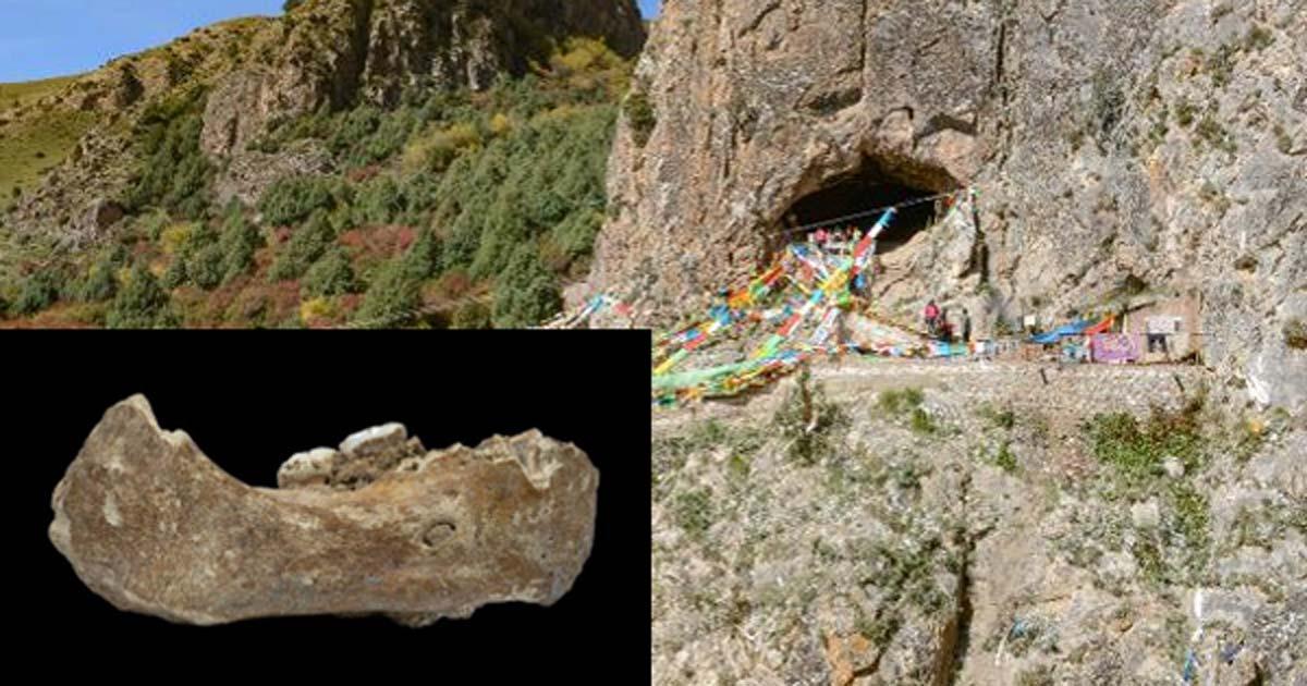 Baishiya Karst Cave in Xiahe,China. Source: (Dongju Zhang, Lanzhou University) Insert: The Xiahe mandible, only represented by its right half, was found in 1980 in Baishiya Karst Cave. (Dongju Zhang, Lanzhou University)