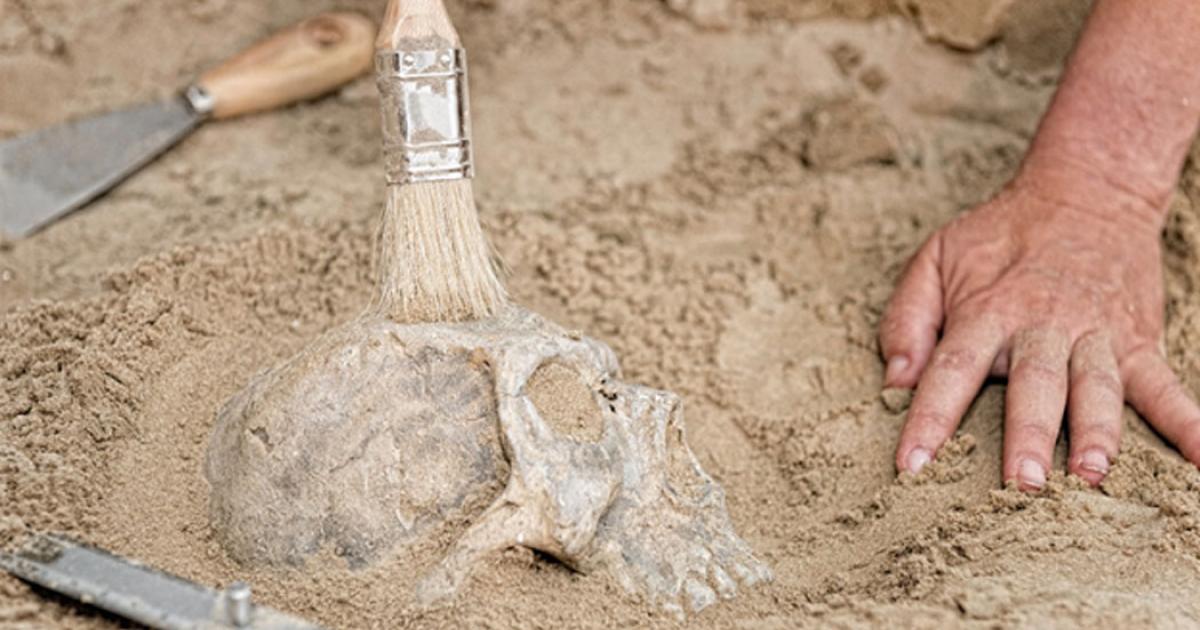 Representative image of skull discovery (not Denisovan)