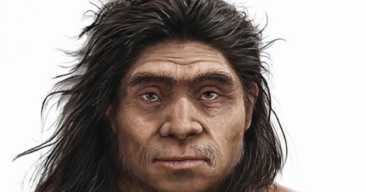 An illustrated reconstruction of a Denisovan, provided by the authors of the study.