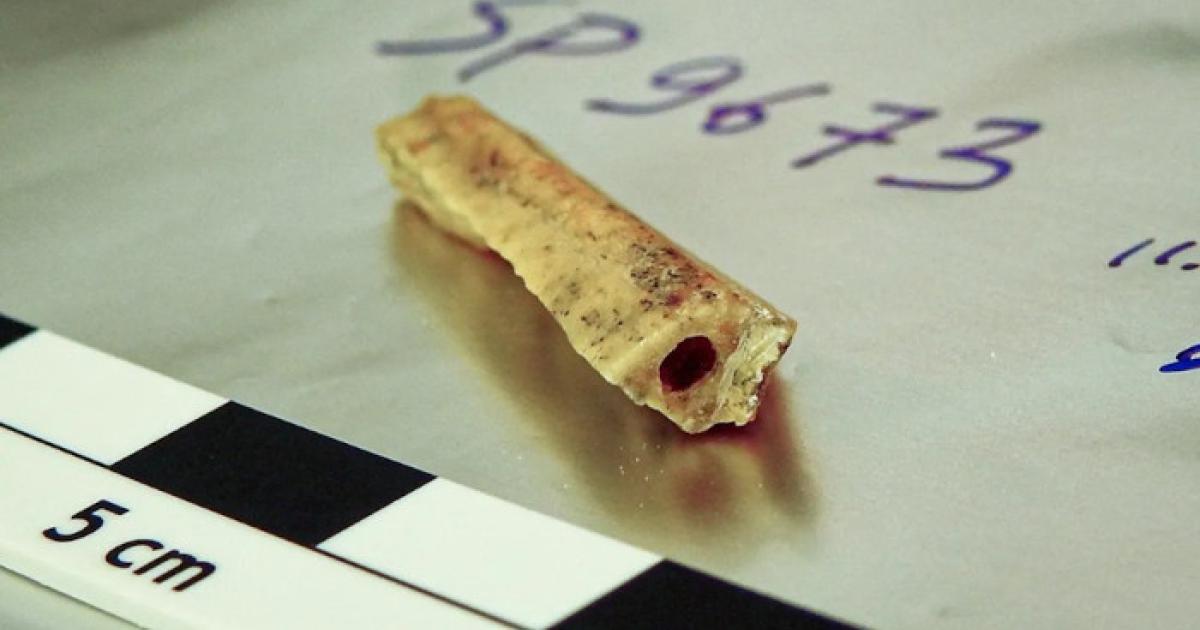 Bone fragment from a male Neanderthal in Denisova Cave, known as D1