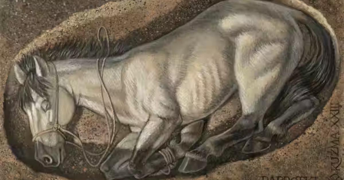 Reconstruction of a sacrificial horse deposit at Paprotki Kolonia, modern Poland. 