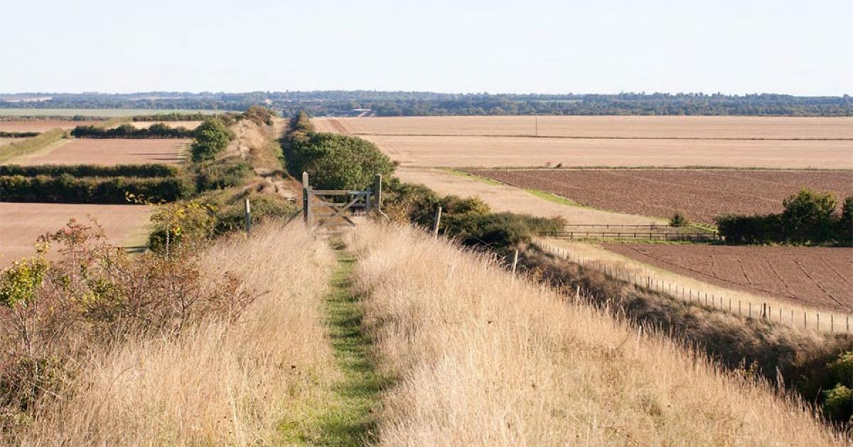 A new report by the local council has highlighted problems being caused by hikers and tourists along the Devil’s Dyke in Cambridgeshire. Source: Rob Mills / CC BY-NC-SA 2.0