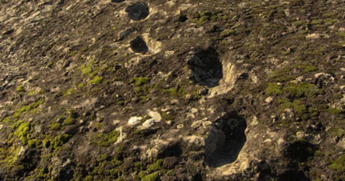 Devil’s Footprints: Who Descended the Side of an Erupting Volcano, Leaving an Ancient Trail Behind?