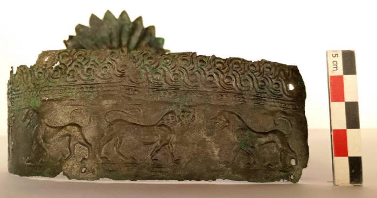 The diadem crown showing the loins, a sign of noble status. 