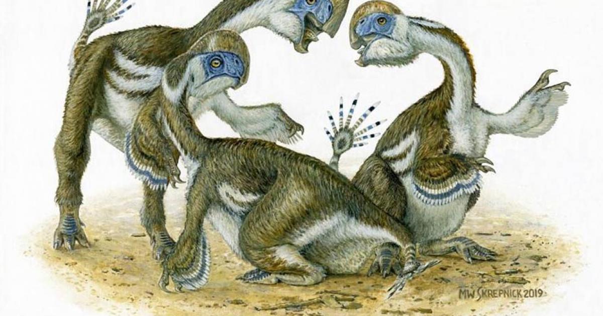 An artist’s impression of the Oksoko avarsan dinosaur. Source: (Michaeol Skrepnick / University of Edinburgh)