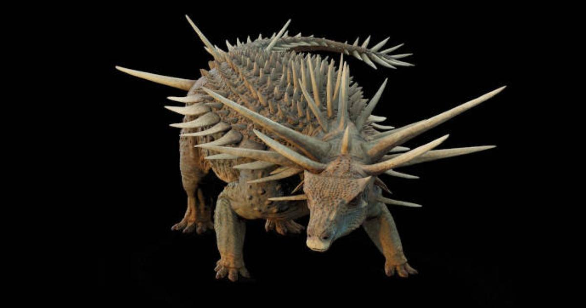 Artistic reconstruction of Spicomellus afer 