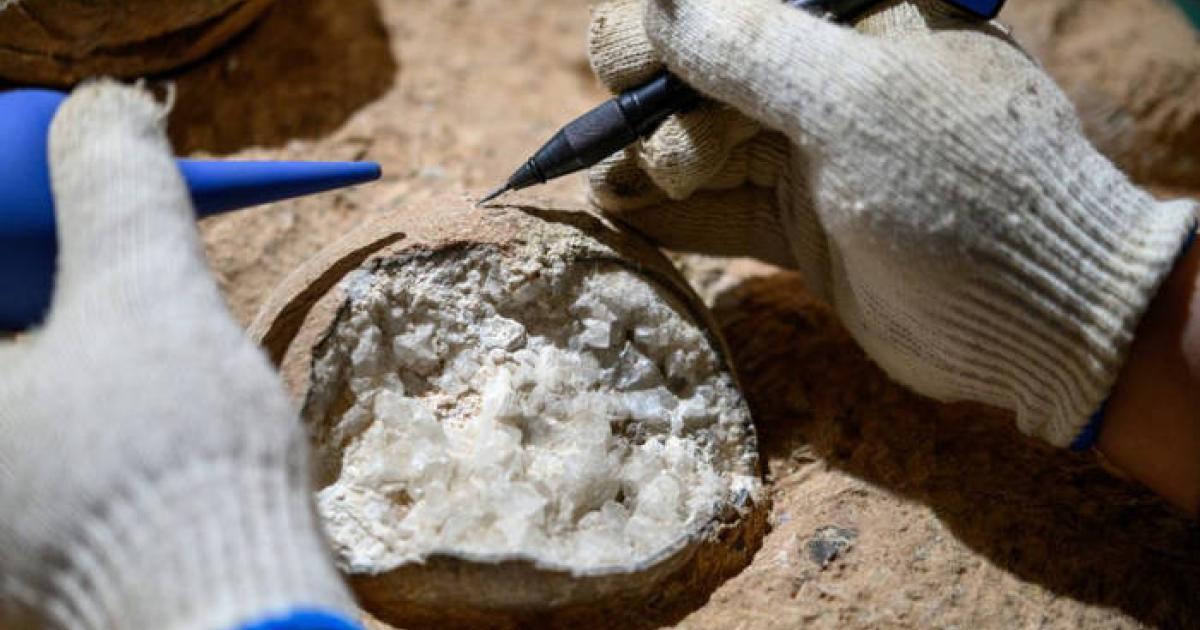 Scientist dissecting one of the Yunyang dinosaur eggs