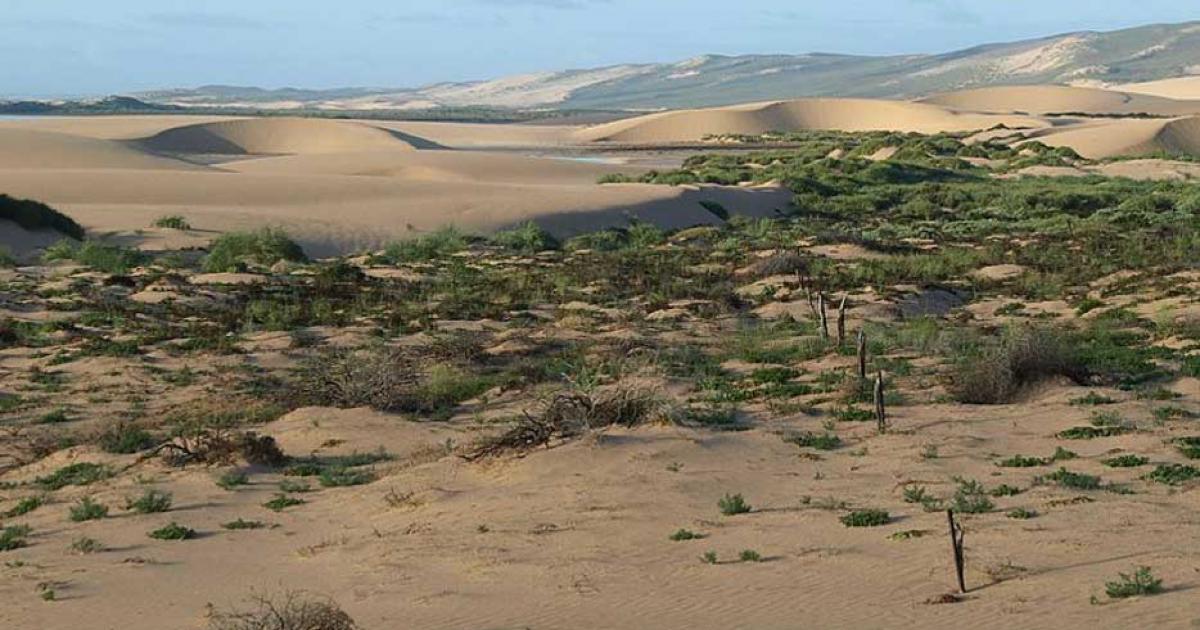 Tetrodon Loop, Dirk Hartog Island, Shark Bay, Western Australia