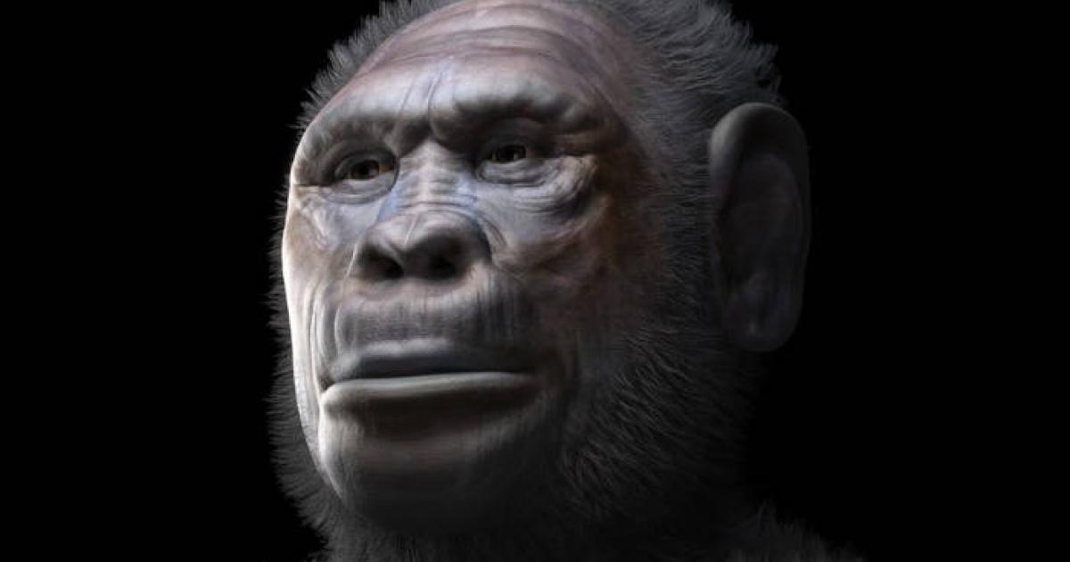 A facial reconstruction representing a male individual of Homo georgicus