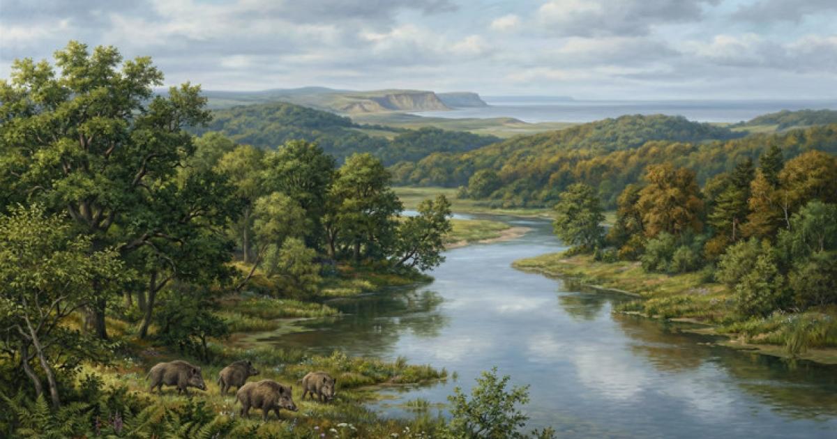 Representation of how Doggerland may have looked.