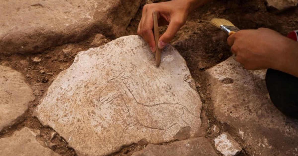 Donkey Motif At Karahan Tepe Adds New Layer to Life at the Site